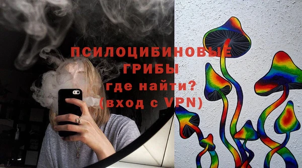 спиды Арсеньев
